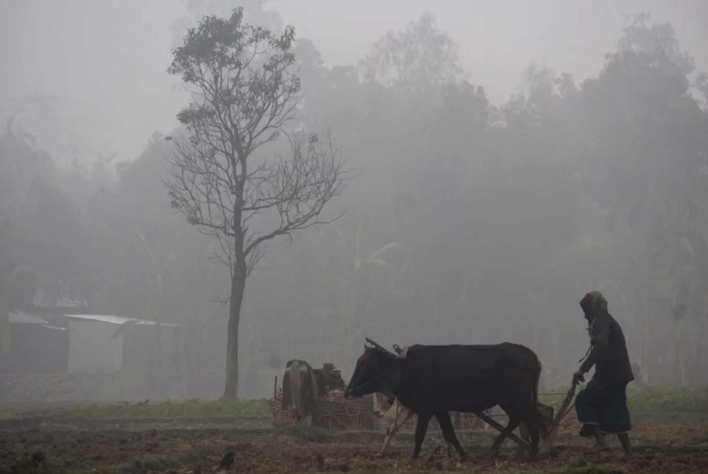 দেশের সর্বনিম্ন তাপমাত্রা নওগাঁয় ৬.৭ ডিগ্রি